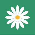 花帮主
