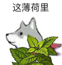 抖音这合理吗是什么梗